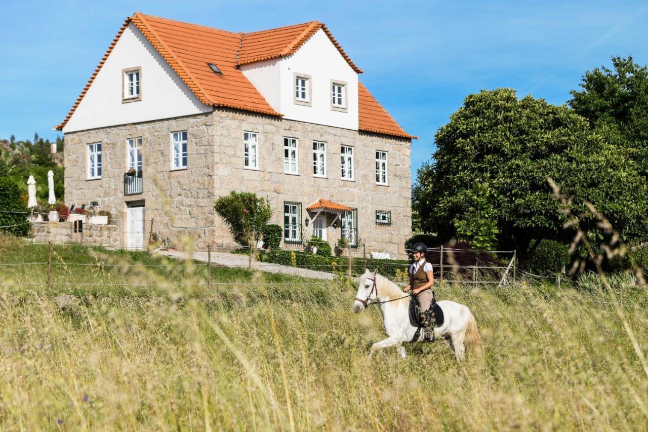 Quinta Lusitania Konuk evi Santa Comba Dao Dış mekan fotoğraf